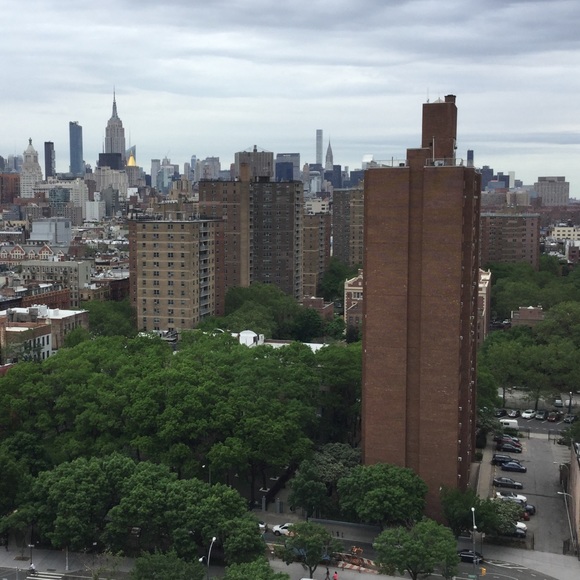 Meet your Posher, Reenie - Picture 1 of 1